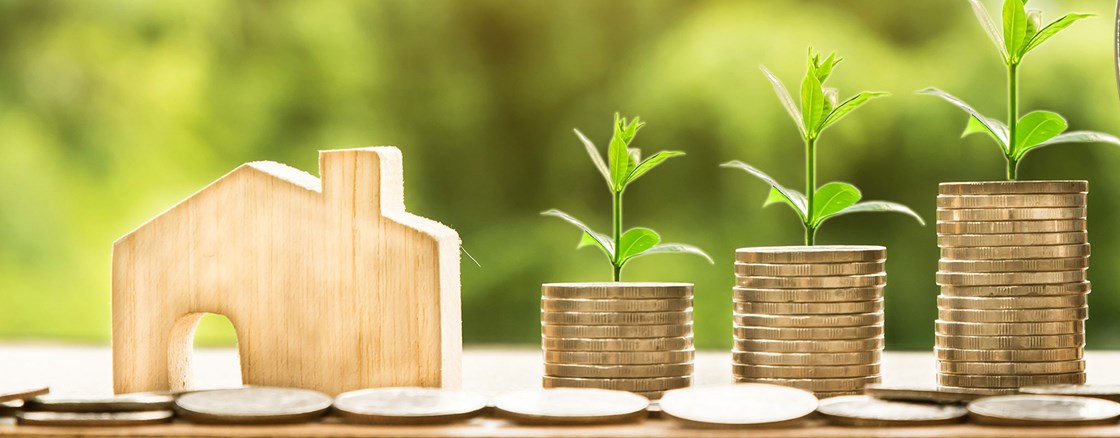 Wat is een financiële check?