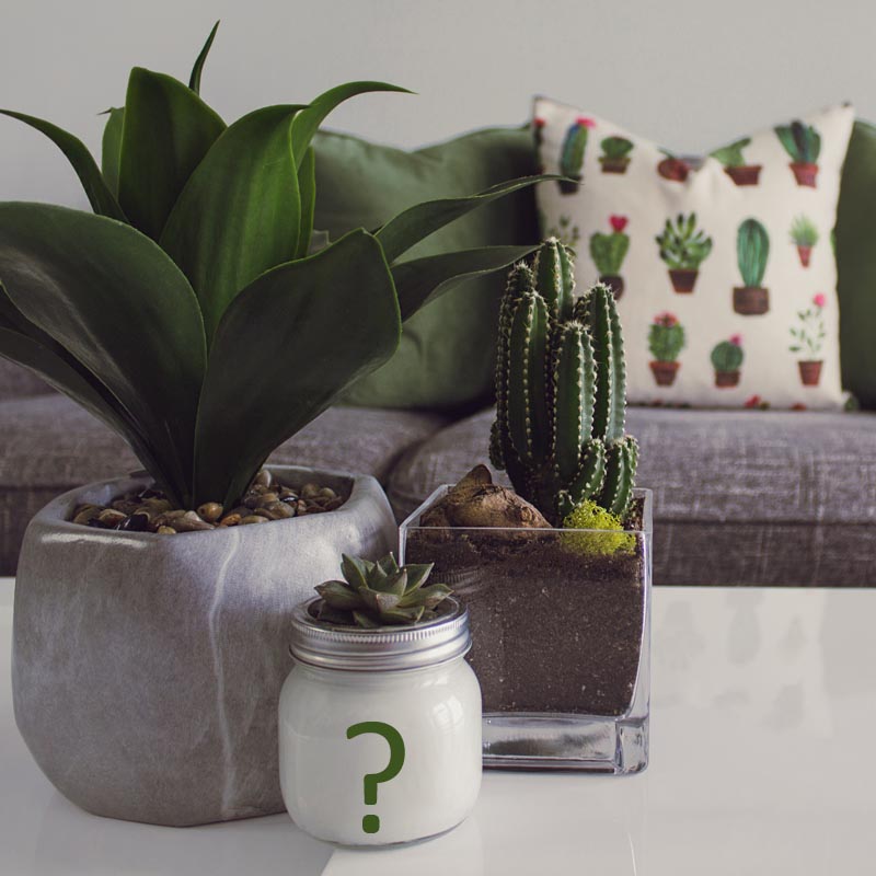 Veel gestelde vragen